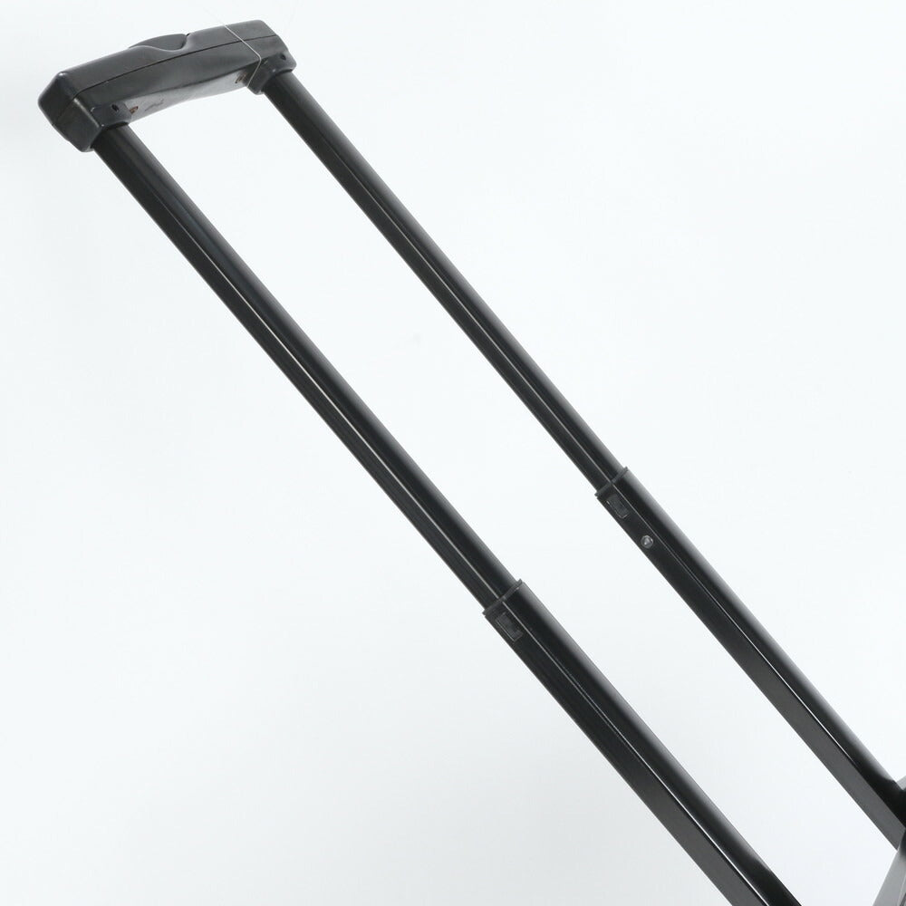 美品 ロエベ アナグラム レザー スーツケース キャリーケース バッグ 出張 旅行 トラベル ビジネス ブラック 黒 メンズ ERE CV31-1